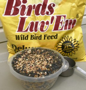bird seed