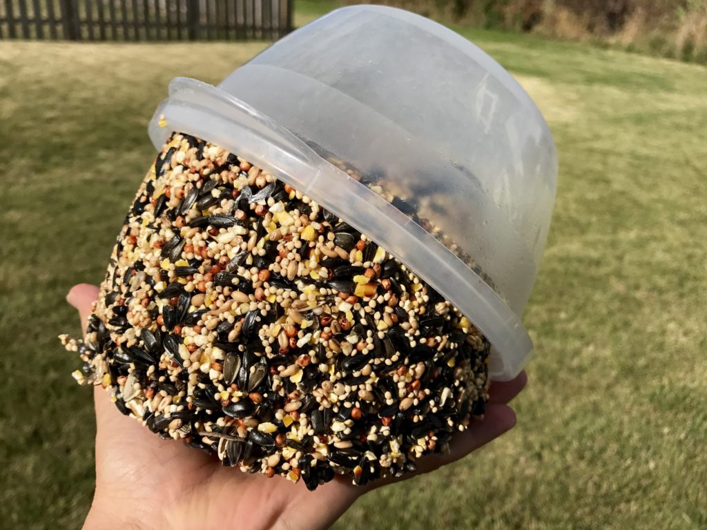 bird seed block seed block recipe garden birds diy