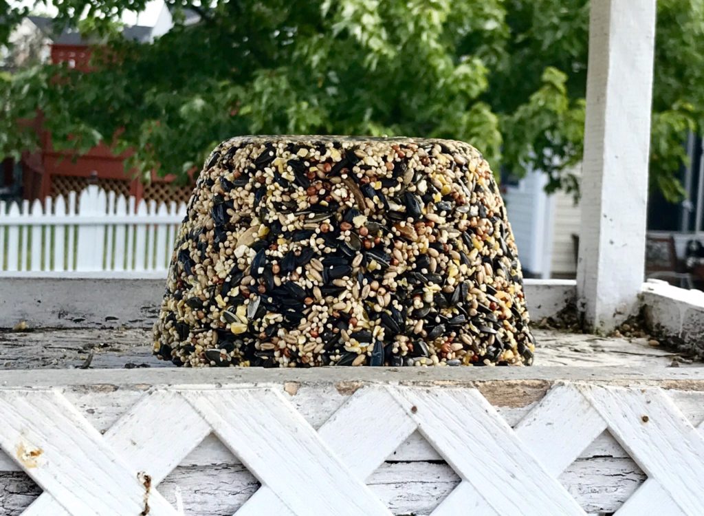 DIY Bird Seed Block